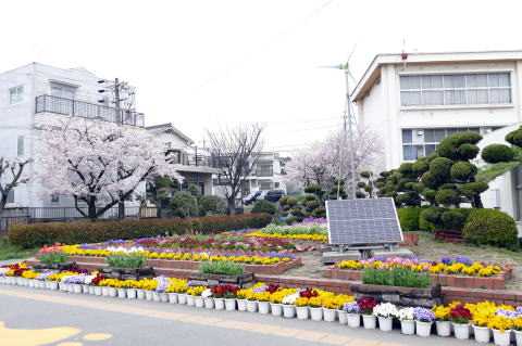 東海市立加木屋南小学校の花壇と校舎外観の写真