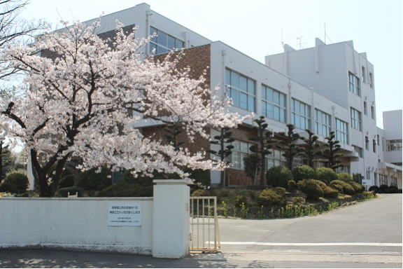 校舎と桜の花