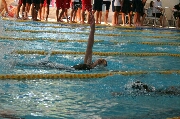 水泳2